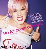 News about muzik!!! - NEWS!!! Pink o musca pe Beyonce Niciodata timida - Muzica/News&Downloads!